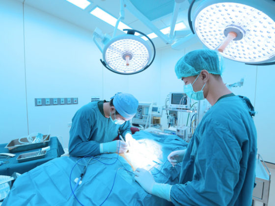 避妊・去勢手術